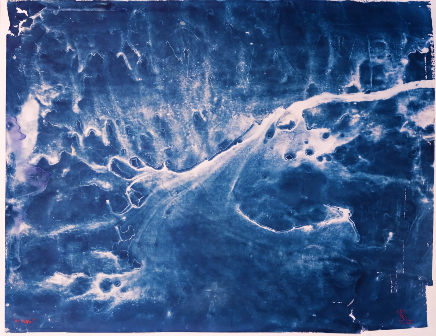 Image principale de El pulpo