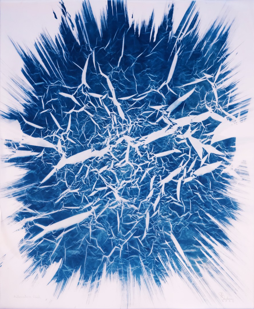 Image principale de Flash