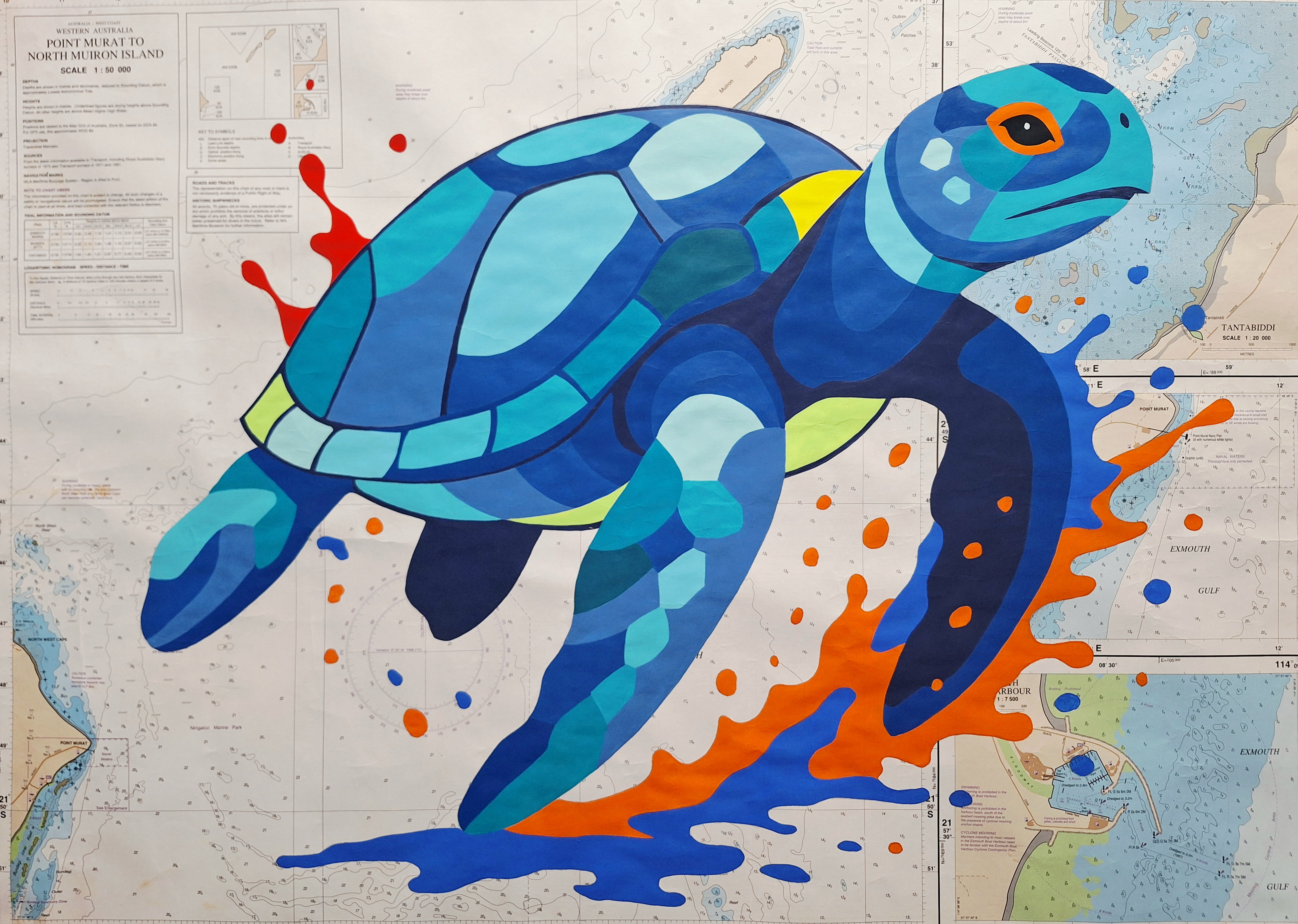 Image principale de Tortue marine