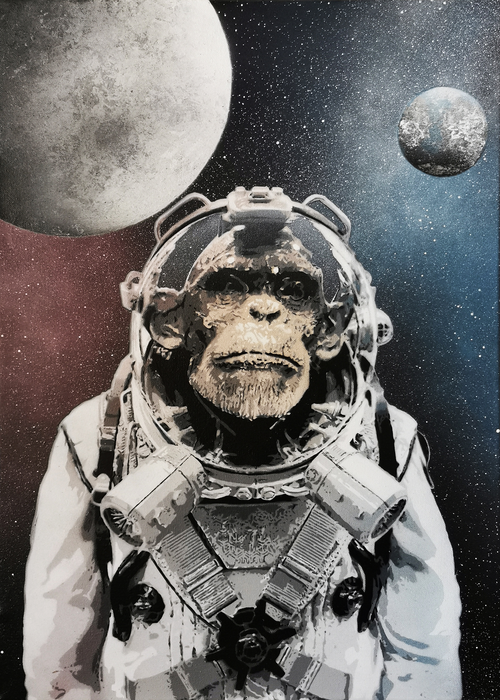 Image principale de Cosmik Moonkey