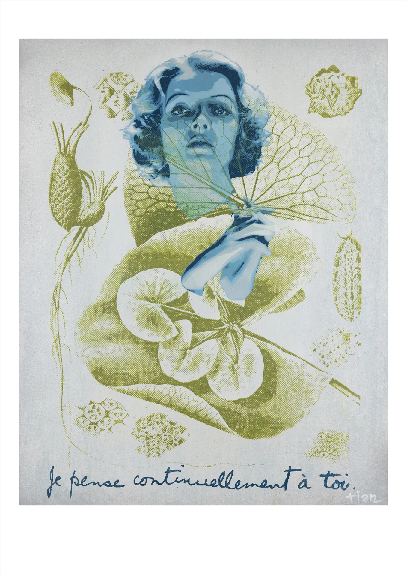 Image de l'œuvre
