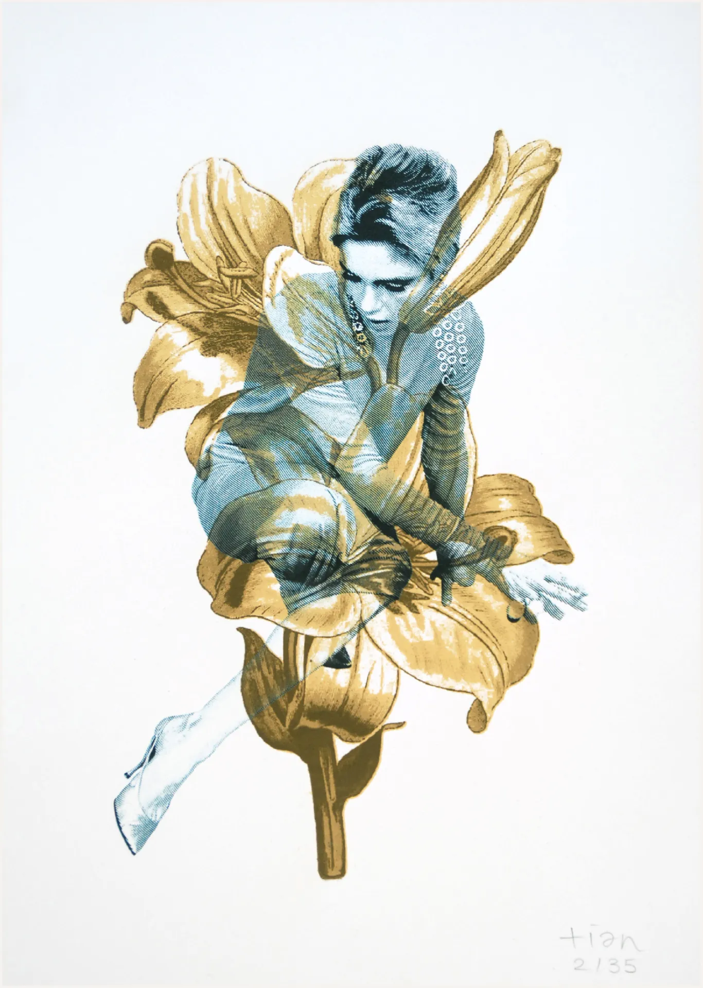 Image de l'œuvre