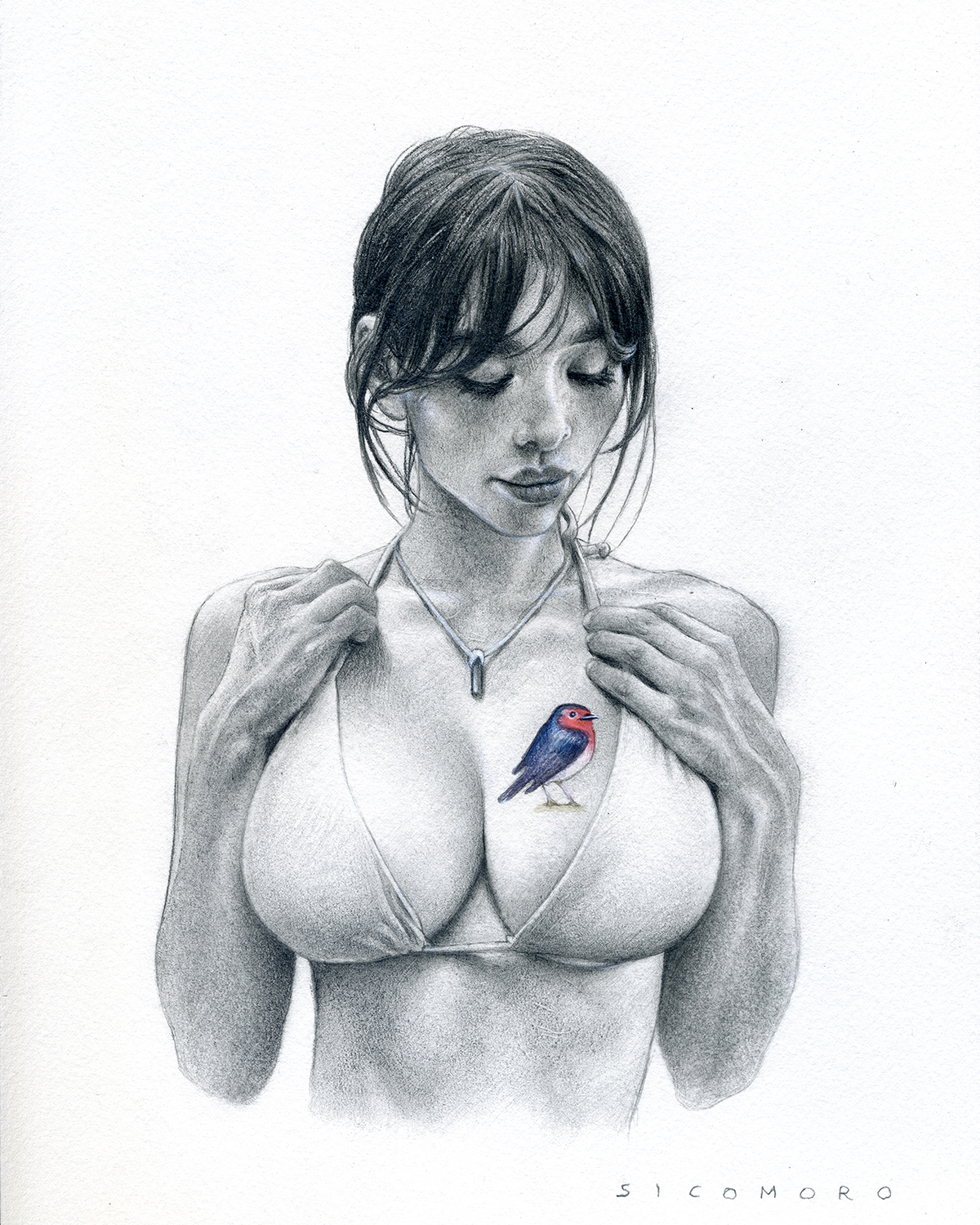 Image principale de Le Rouge-Gorge