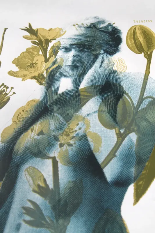 Miniature de l'œuvre
