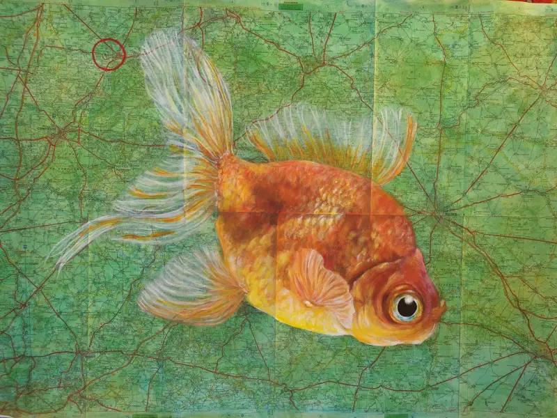 Image principale de Noyon le poisson